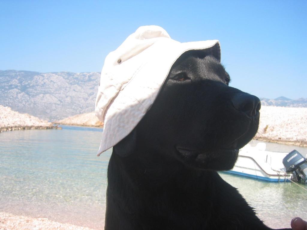Studio Cesarica Εξωτερικό φωτογραφία